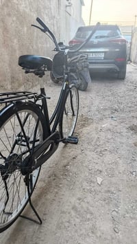 بطه ياباني • حجم ٢٦ • موديل ٢٠٢٠