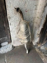 اكسنت • نضيفه • بغداد
