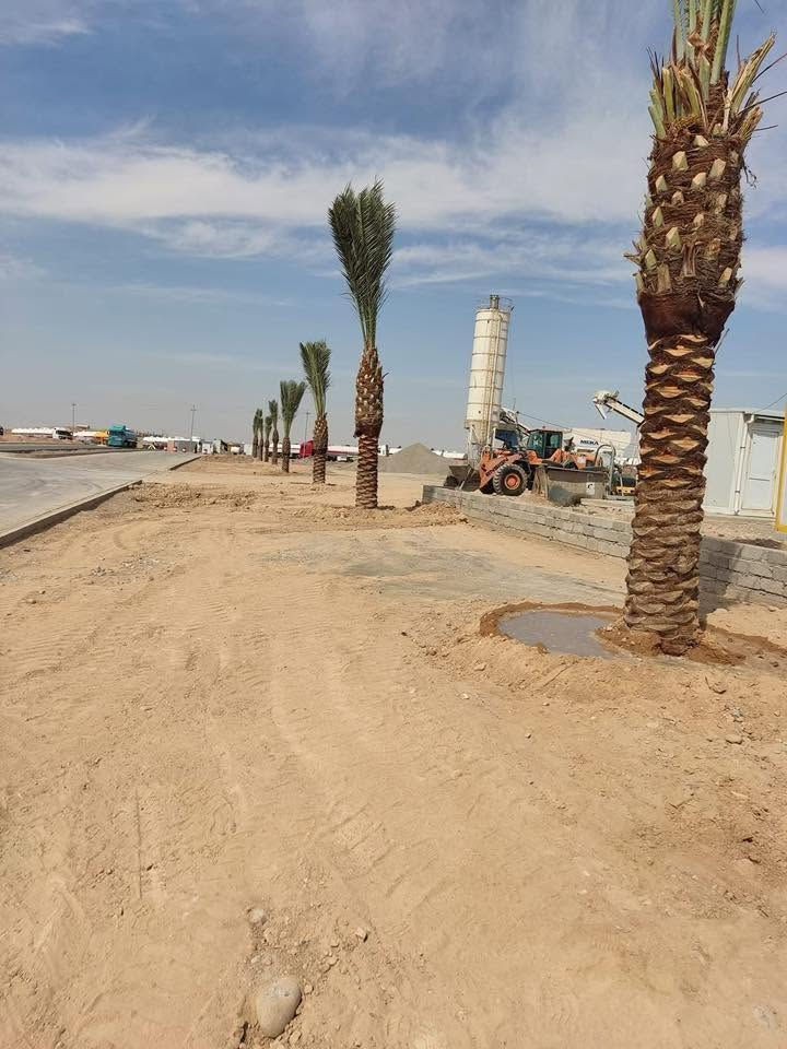 🌴 بسم الله الرحمن الرحيم 🌴

✨ إن شاء الله موسم خير وبركة على الجميع ✨

📢 مستعدون لتجهيز جميع دوائر الدولة، وكافة المزارع الخاصة والعامة، بأفضل أنواع فسائل النخيل.

✅ متوفر لدينا جميع الأحجام والأصناف:

🌴 العمراني • البرحي • مكتوم • الخستاوي • القيطاس • الجمالي • الأشرصي • الأبرين • الحمراوي • الشكر • الأشويثي الأصفر

🚚 متوفر خدمة توصيل إلى جميع محافظات العراق.

📞 للحجز والاستفسار، يرجى مراسلة الصفحة أو الاتصال على الأرقام التالية:

📱 ***********
📱 ***********
📱 ***********

🌴 نسأل الله لكم موسمًا زراعيًا مباركًا ورزقًا وفيرًا.

نص مكتوب في الصور:
- الساحل الاخصر للنخيل
