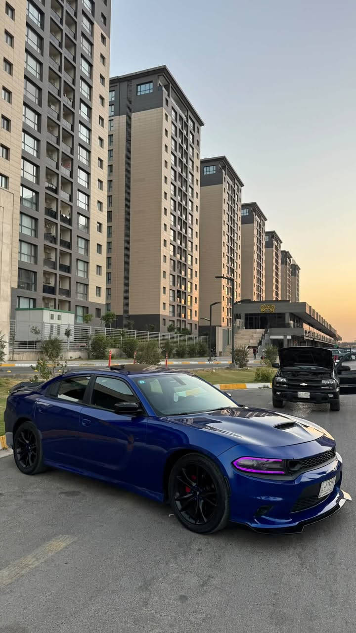 سلام عليكم للبيع جارجر 2019 فول فتحة
جارجر 2019 Sxt 

مواصفات

محرك 3600

بصمة تشغيل 

وتحكمات فول 

كشن سايق كهرباء 

فتحة سقف 

حساسات 

شاشة كبيرة

سيارة حادثه جاملغات خلفية صبغ وباب ورة سايق رش بدون دواخل سيارة ماشية 63 مكان السيارة بغداد الكرخ السعر183$

للاستفسار ***********

