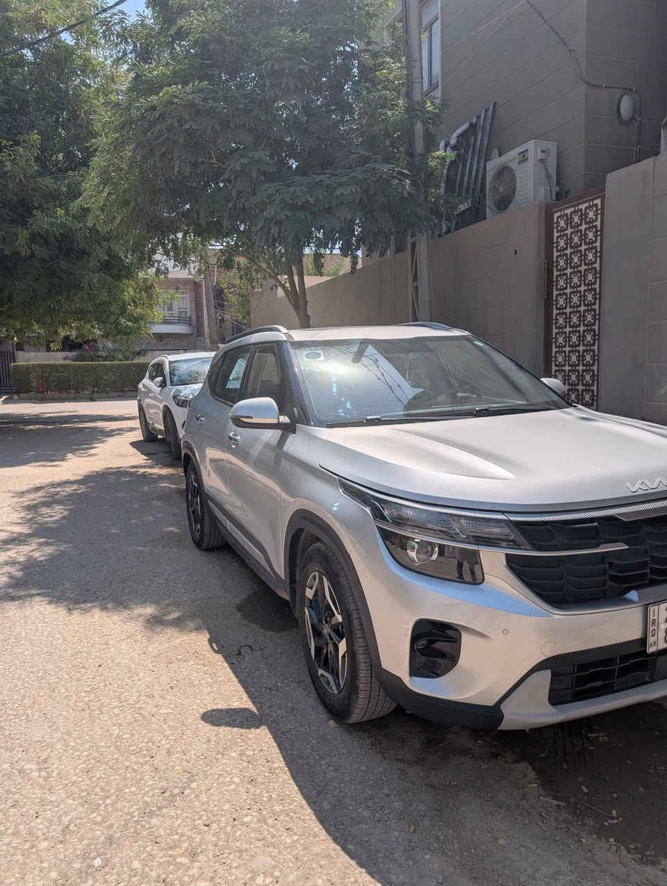 سيلتوس ٢٠٢٤ • رقم اربيل • بانوراما