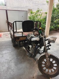 ستوته أمتي ار • اسود • شهربان
