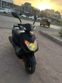 سكنس فحل • نوزل • اوراق موجوده