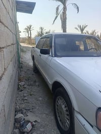 ارنب جناز • حادث • ابو الخصيب