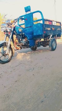 للبيع ستوتات العدد اثنين صقر فحل عالي موديل 22قطره صبغ ولحيم مابيهن مك...