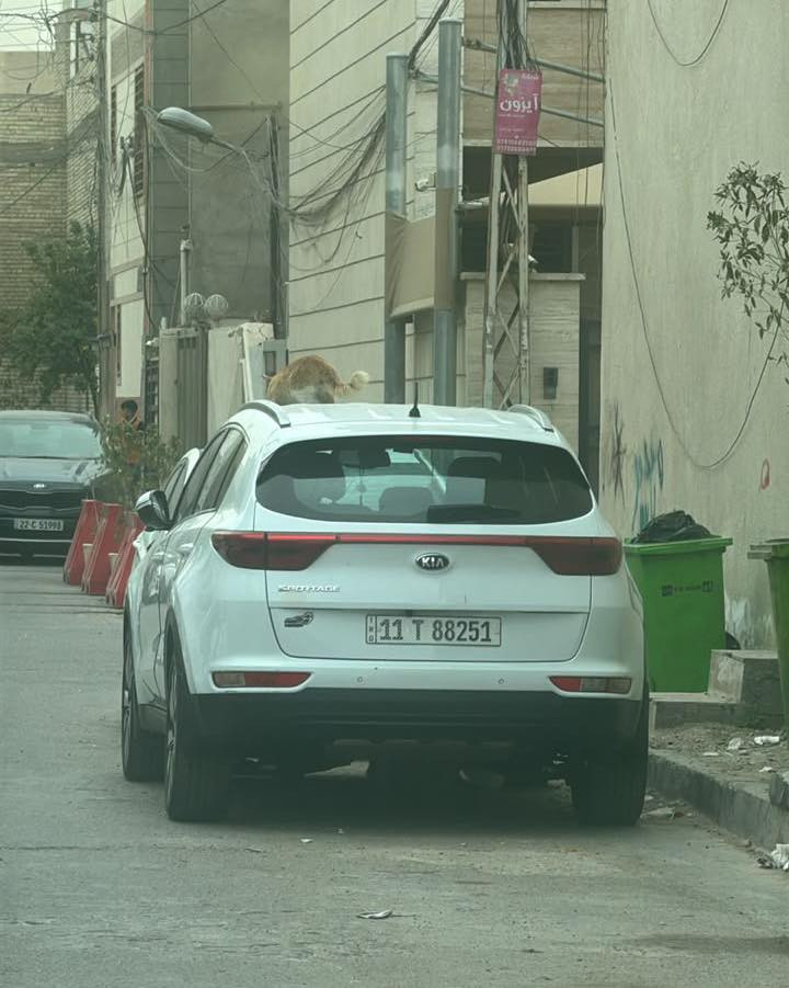 سبورتج خليجي • ٢٠١٨ • مابيها حادث