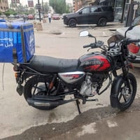 بوكسر جبلي • موديل ٢٠ • تفيلس