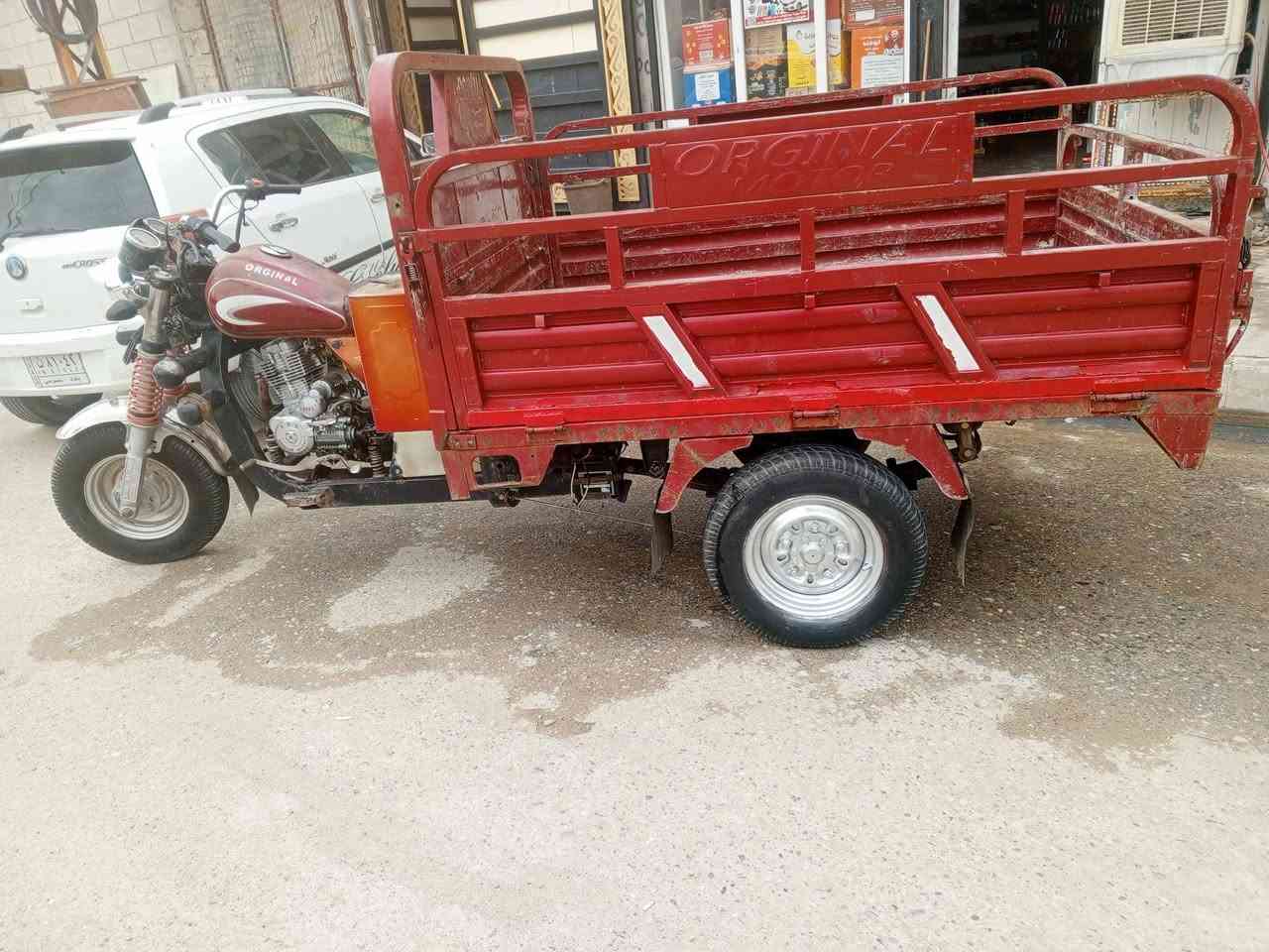 ستوته • شغال • موديل 21