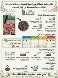 دليل زراعي رسومي • مشتل الكلوروفيل • واتساب