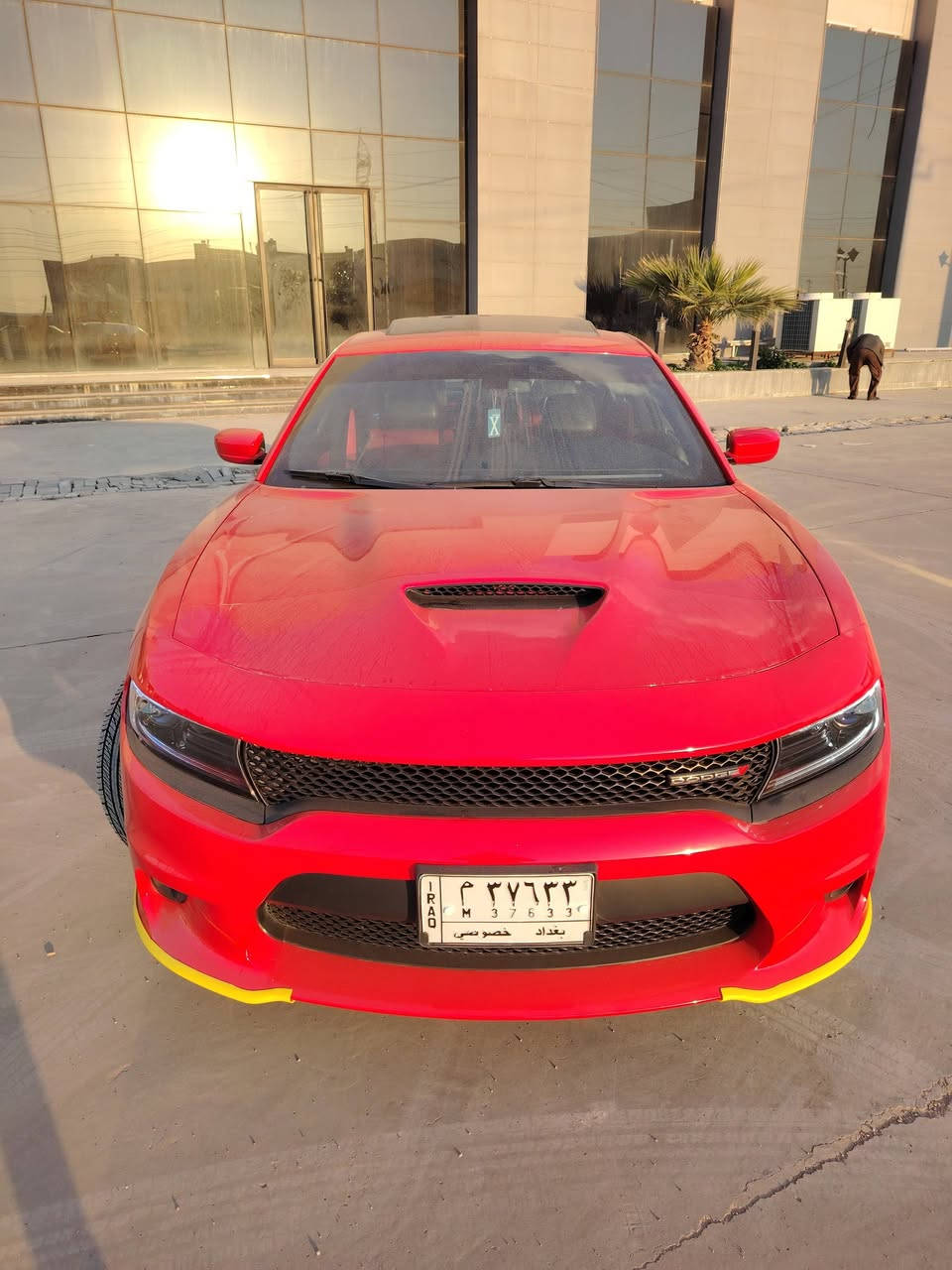 اعيد نشر سبب وعود الكاذبه
" للبيع 
دوج جارجر ارتي المحرك 8 سلندر RT MAX الموديل  2022🔥
وكالت هارلم 
صار بيه حادث بل عراق باب وجاملغ صفحت يمنه

⭕️ السيارة  وموجود صورة
 
المواصفات :   فوللل 
المكينة 5700 V8 
* تشغيل عن بعد .  
نقاط عمياء
رادرات جانبية
فتحه سقف 
* شاشة كبيرة قياس 8.4 أنج اوپشنات كاملة

مري تعتيم
كشنات وستيرن تدفئة تبريد
كشنات كهرباء حضن 

كزوز دبات بلاد 

 السيارة الف دينار متصرف عليها كامله مكملة  من كلشي  جديد  شرط  صدر جديد دسكات كلها جدد وكلها وكالة اصلي 

 السيارة باسمي تحويل ثاني يوم  هزة جديد ورقم بغداد 
 واني حاضر 

السعر خاص $$   ❤️❤️
 والله يرزق الجميع 
للاستفسار  *********** 
مكاني بغداد بسمايه
