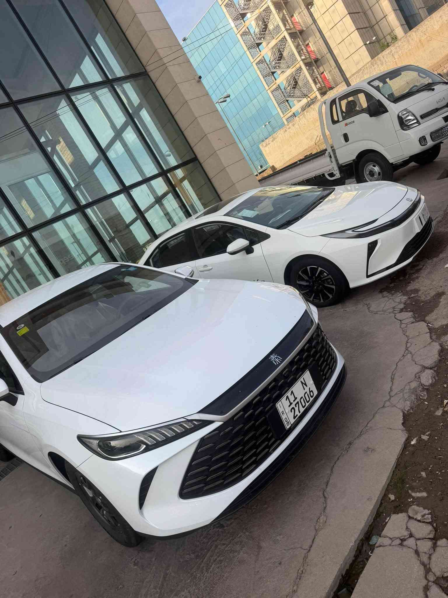 قين بلس • ٢٠٢٥ • مرقم كامل