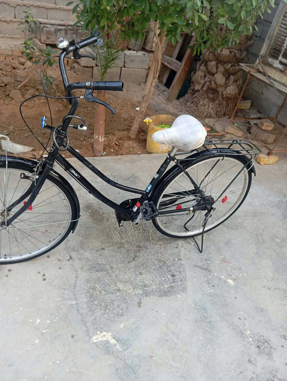ديالى • حجم ٢٧ • جديد