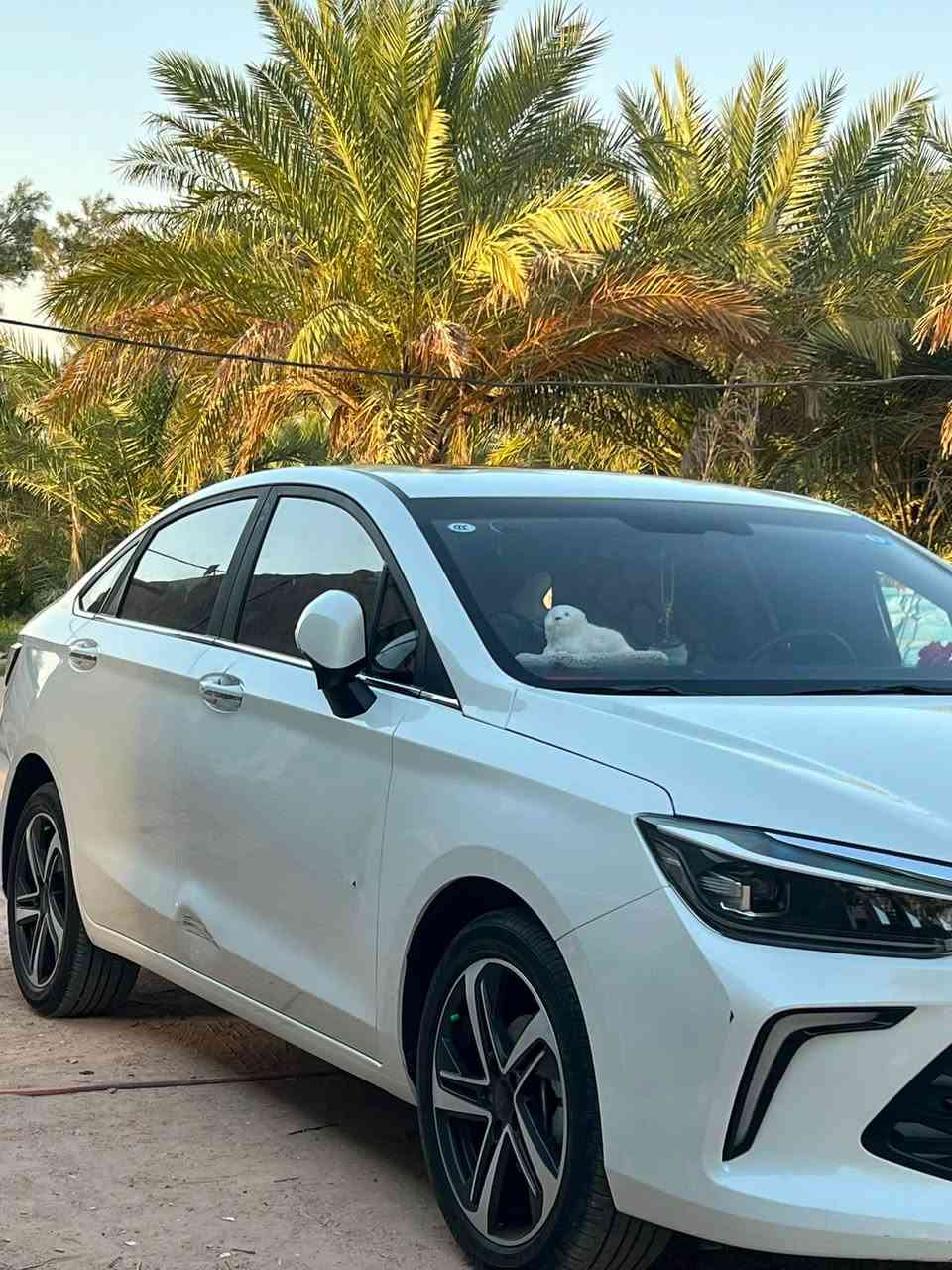 بايك u5 بلس فول مواصفات اعلى فئه موديل 2025 / بيه فقط طخه باب العبري وبعض الملاحضات / العنوان النجف / الرقم ***********
