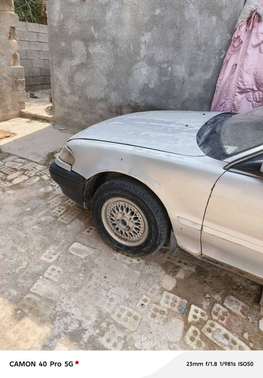 سوناتا • كير كفاله • حداديه زينه