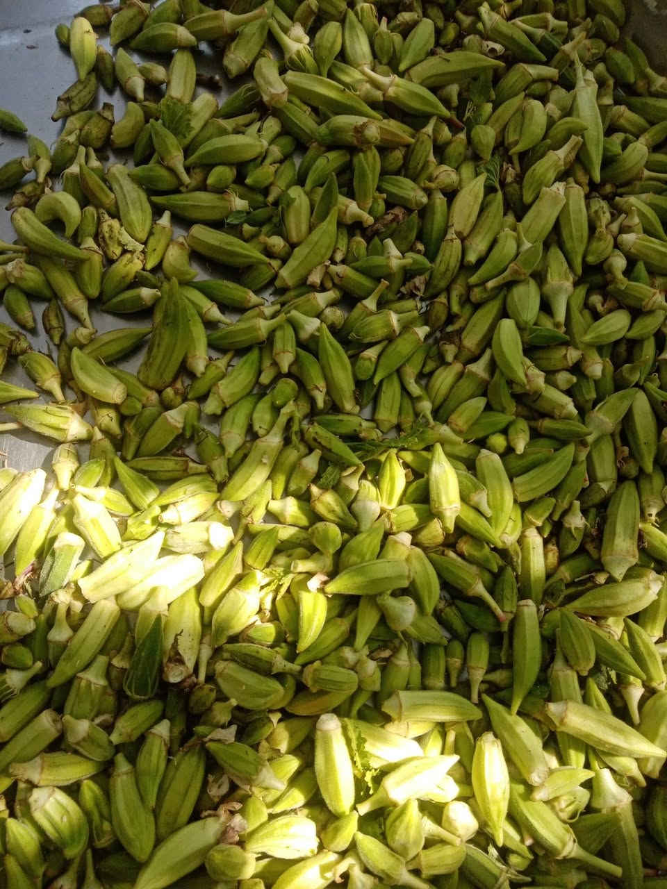 السلام عليكم بانيه ناعمه ٣ كيلوات سعر الكيلو ٤ الاف حوش الان للتواصل ***********
