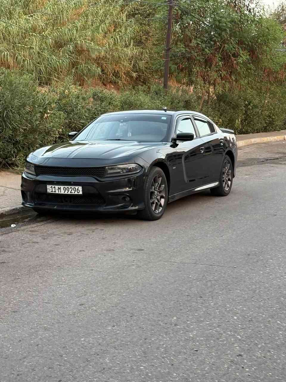 تشارجر GT • ٢٠١٨ • وارد كندي