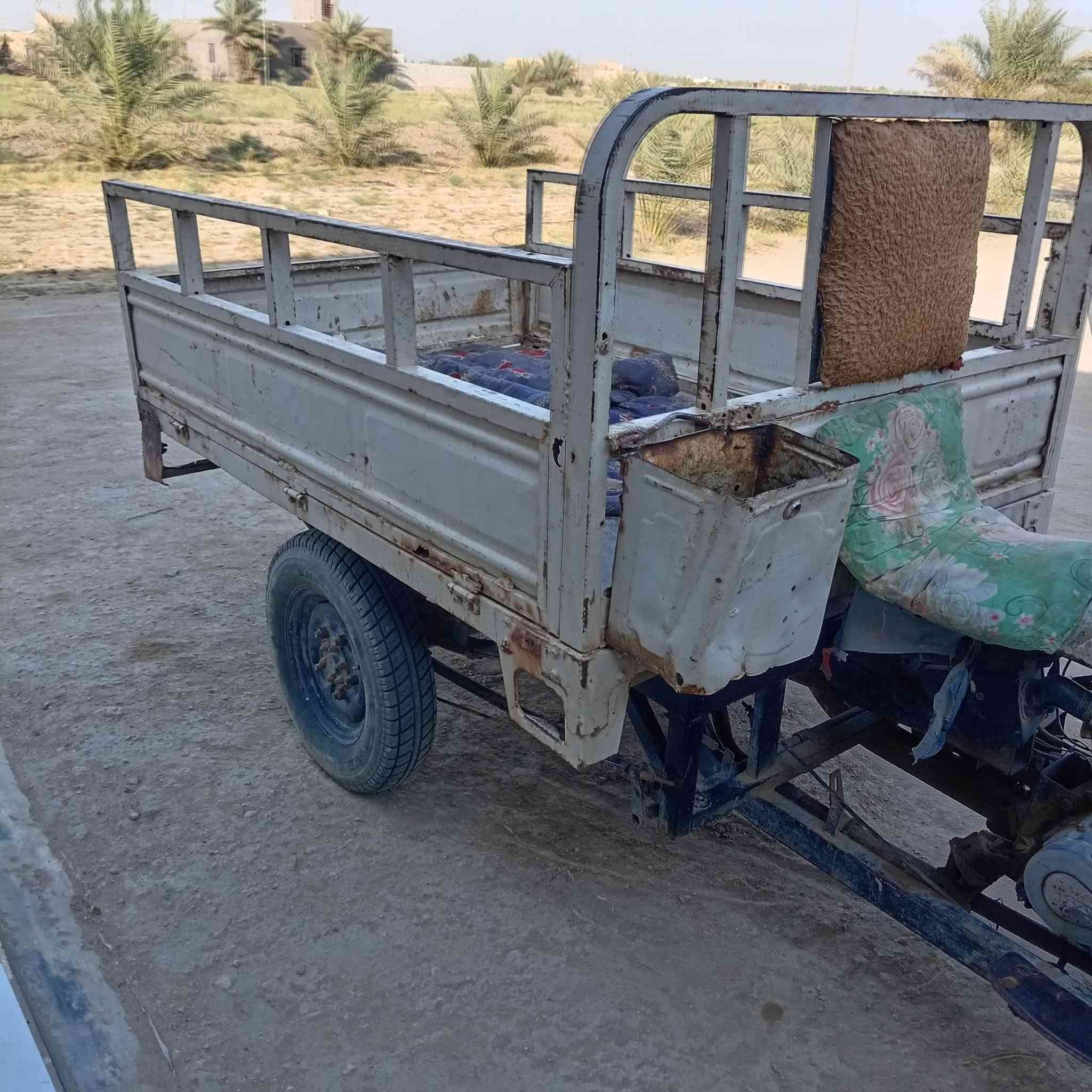 ستوته • نضيفه • مكفوله