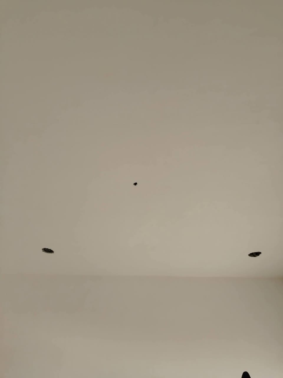 متفرغ • تصفير واجهات • تسليم مهندس