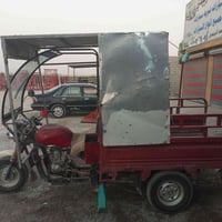 ستوته • شغالة • ما بيها اوراق