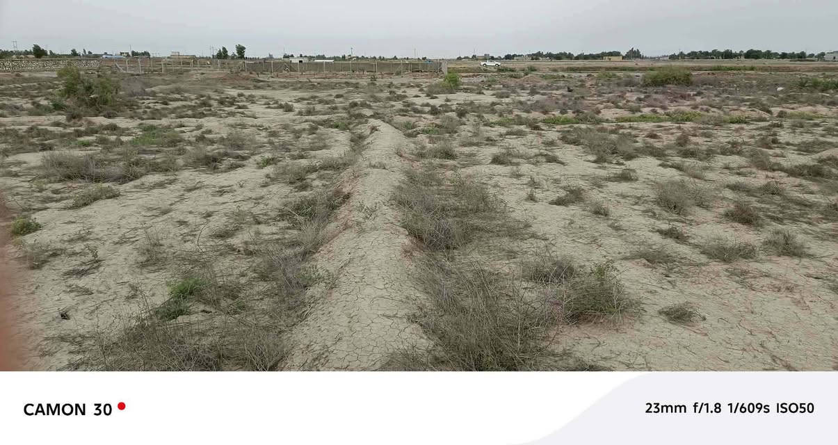 السلام عليكم ارض زراعي للبيع سند 25 المساحة 2ونص دونم طريق  ديوانية دغارة تبعد عن الشارع 600 متر  قرب مشتل الربيع سعر 30للاستفسار خاص

نص مكتوب في الصور:
- CAMON 30  23mm f/1.8 1/1076s ISO51
- CAMON 30 23mm f/1.8 1/609s ISO50