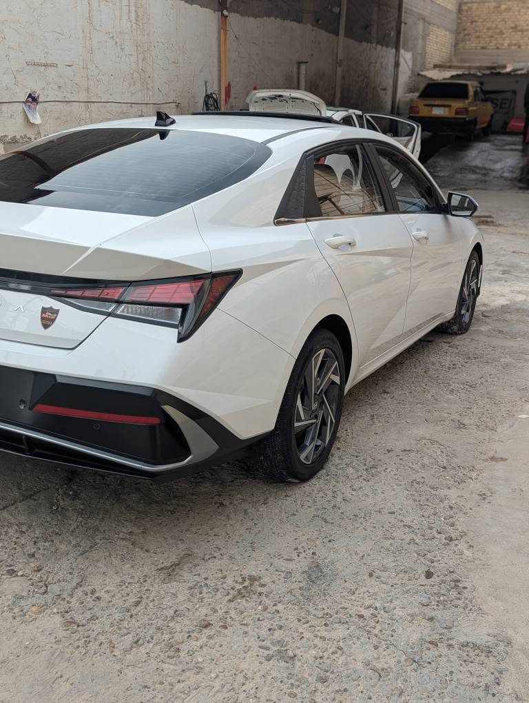 فول الفول • ٢٠٢٥ • رقم اربيل