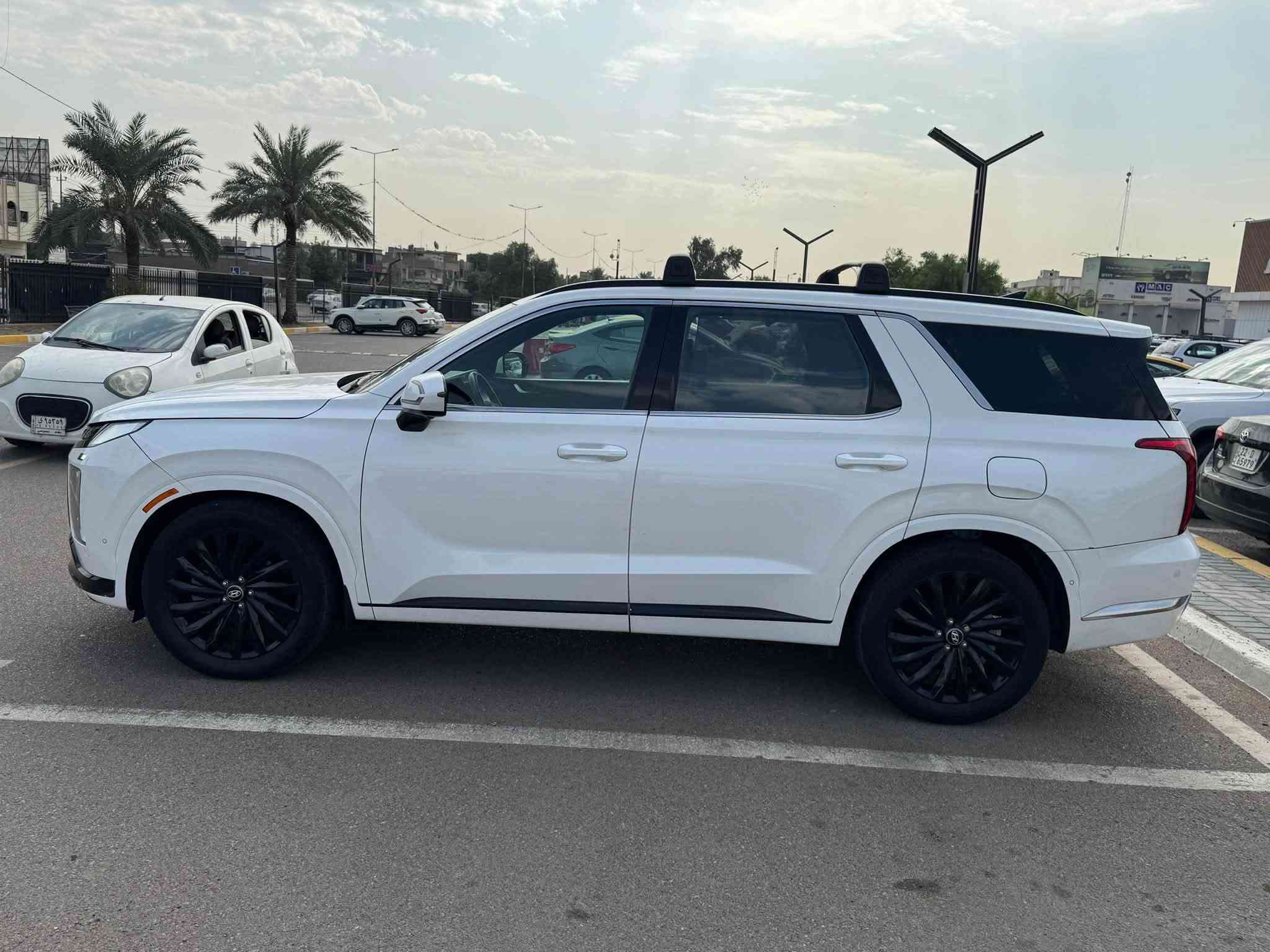 باليسايد • كاليجرافي • ٢٠٢٤