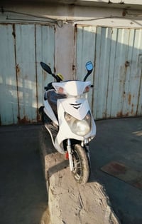 سكنس فحل للبيع سعرها 400 الف وبيه مجال بسيط مجفته صارلها يومين خلصت با...