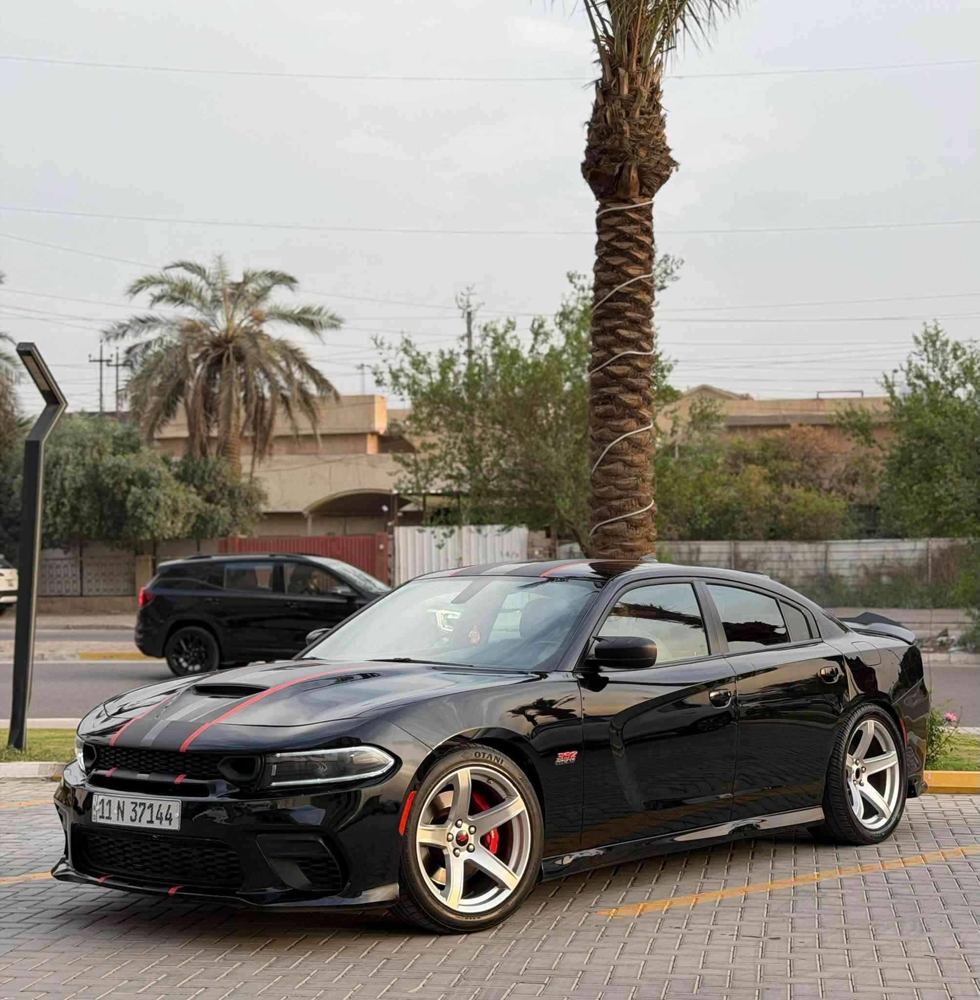 سكات باك • V8 ٦٤٠٠ • رقم بغداد