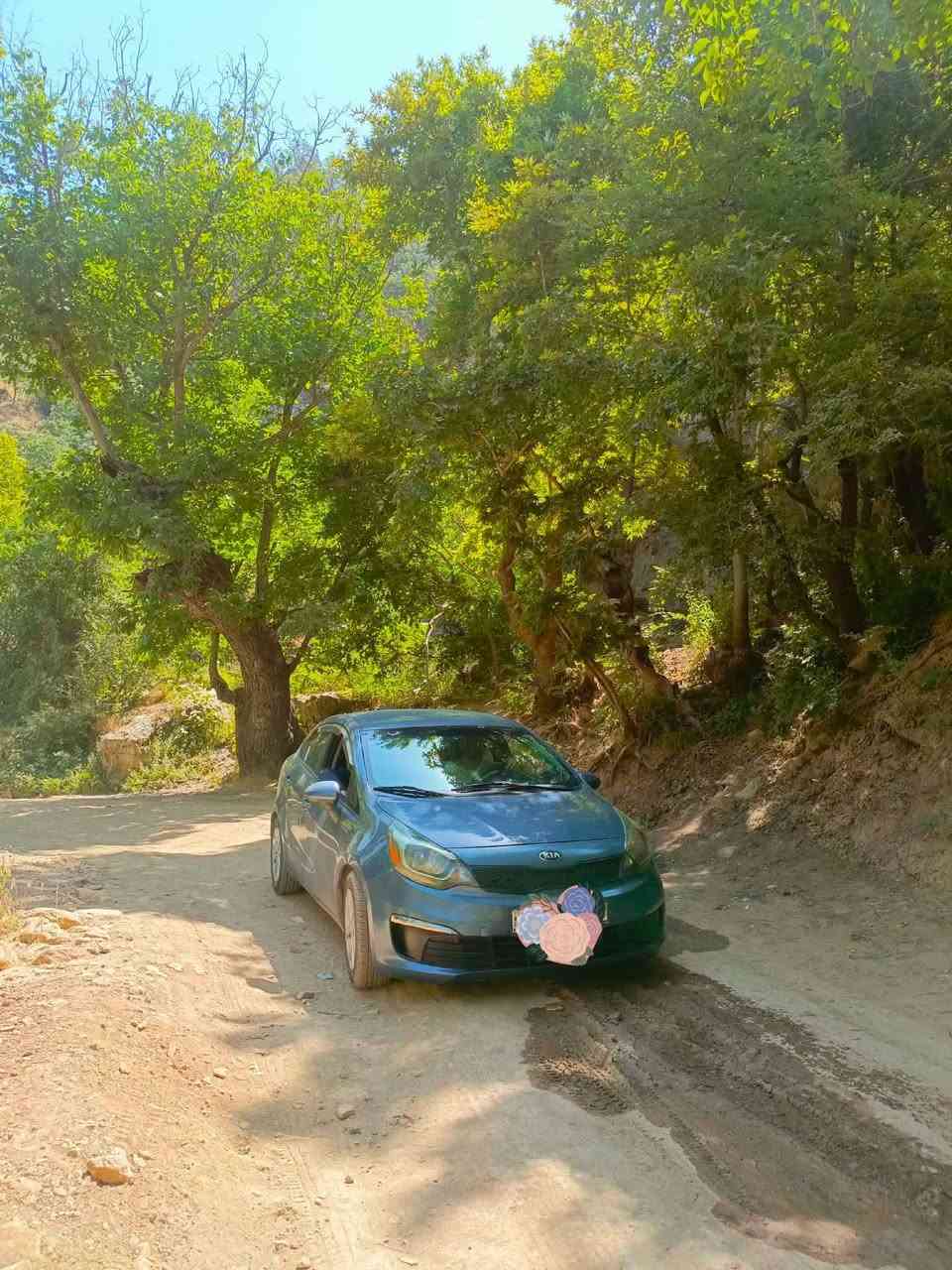 كيا ريو امريكي موديل 16 رقم اربيل دولي
سياره نظيفه ومعتنى بها جاهزة للاستخدام 
هزه لشهر التاسع اكلين بدون حادث
غرامات مصفره وشرط التحويل
تبريد ممتاز 
مكينه وگير بحاله ممتازه ومكفولين بالفحص
مكينه 1600 .... باتري جديد
تخم بلاكات جديد المجاور نوزلات بحاله ممتازه 
شاشه اندرويد مع كاميرا خلفيه سنتر لوك
مع فتح وغلق عن بعد تحكم 
وستيرن نظام ايكو الاقتصادي لتوفير الوقود
 الموقع الموصل 
السعر98 وبيها مجال بسيط

للتواصل ***********
