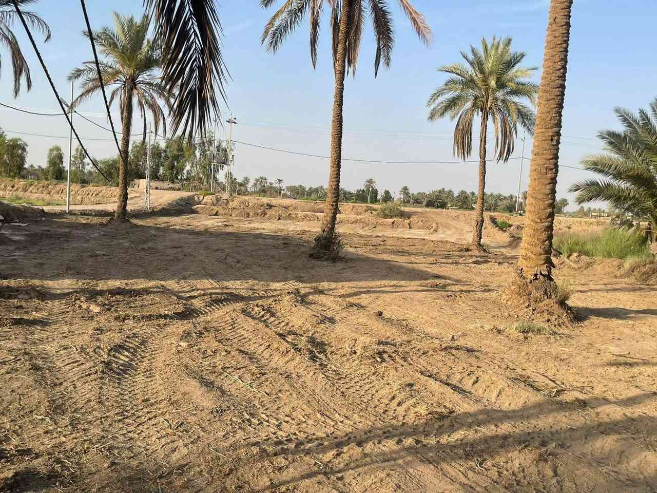 دونمين ونص • طابو زراعي • كربلاء طوريج