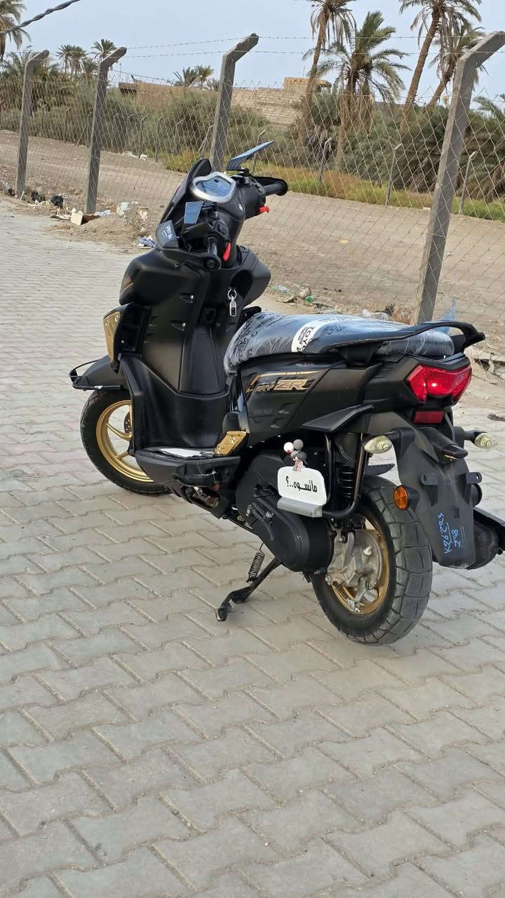 راي • ٢٠٢٤ • درع