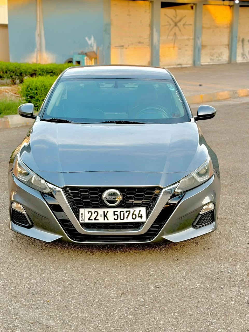 التيما • ٢٠١٩ • رقم وسند جديد