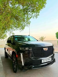 اسكاليد • ٢٠٢٣ • وكالة المنصور