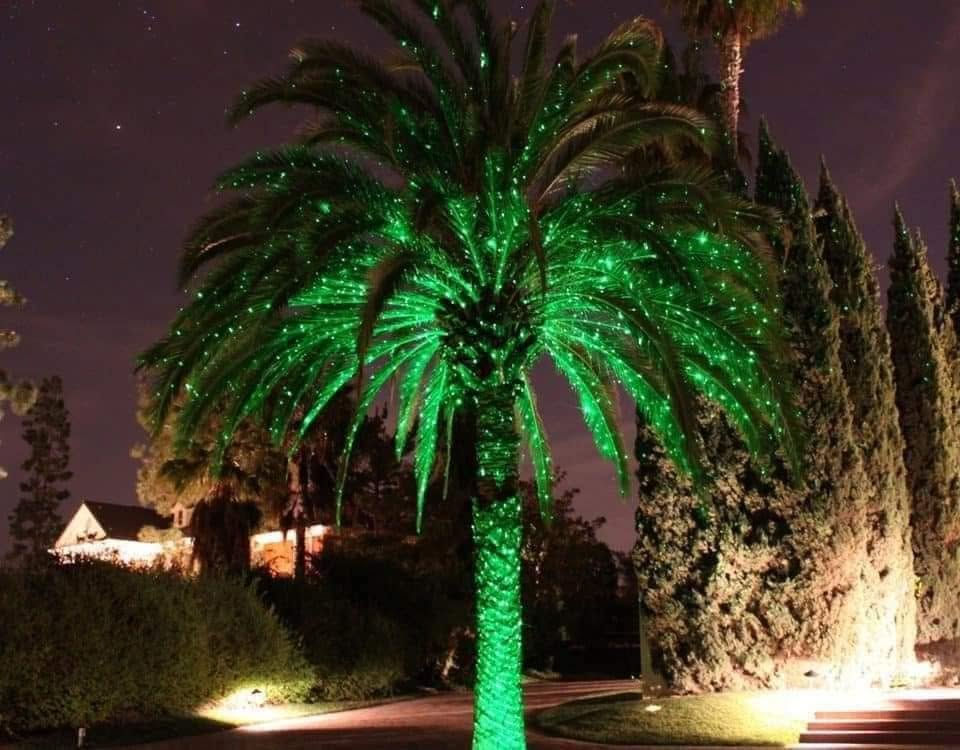 نشره حبل ضوئيه اصليه ومضمونه 100•/• 100  
💎💎 نشرات ضوئية لتزيين ولجمال الأماكن 💎💎
يتوفر جمله /مفرد
1️⃣ حبل 50 متر  240 لد طول فقط متوفر كل من الالوان ( شمسي / ابيض / احمر / ازرق / اخضر / ملونة )السعر 17 الف  الف

 ✅حبل 20 متر  150 لد طول فقط متوفر كل من الالوان ( شمسي / ابيض / احمر / ازرق / اخضر / ملونة ) السعر13  الف 
 
✅ حبل 30 متر  200لد طول فقط متوفر كل من الالوان ( شمسي / ابيض / ملونة ) السعر16  الف
ضد الماء مطري 🌨🌨
♡بي عدة استخدامات لتززين وديكورات
♡يستخدم في فضاء الشوارع 🌫
♡وايضاً في الحدائق المنزليه والعامه 🏡
♡وفي واجهة البيوت والعمارات 🏢
♡ويلف على الاشجار والنخيل 🏝🏝وعلى الأعمده 🌉🌇

* النشرة تأتي عبارة عن حبل خط واحد الصور عباره عن عمل وتوضيح لعمل النشره وديكورات مختلفة 💚
يوجد خدمة توصيل لكافة محافضات العراق 

توصيل بغداد 5000 كافه محافضات

للحجز والاستفسار مراسلة الصفحة او الاتصال على الرقم 

او المراسلة عبر الواتساب 📞***********📞
