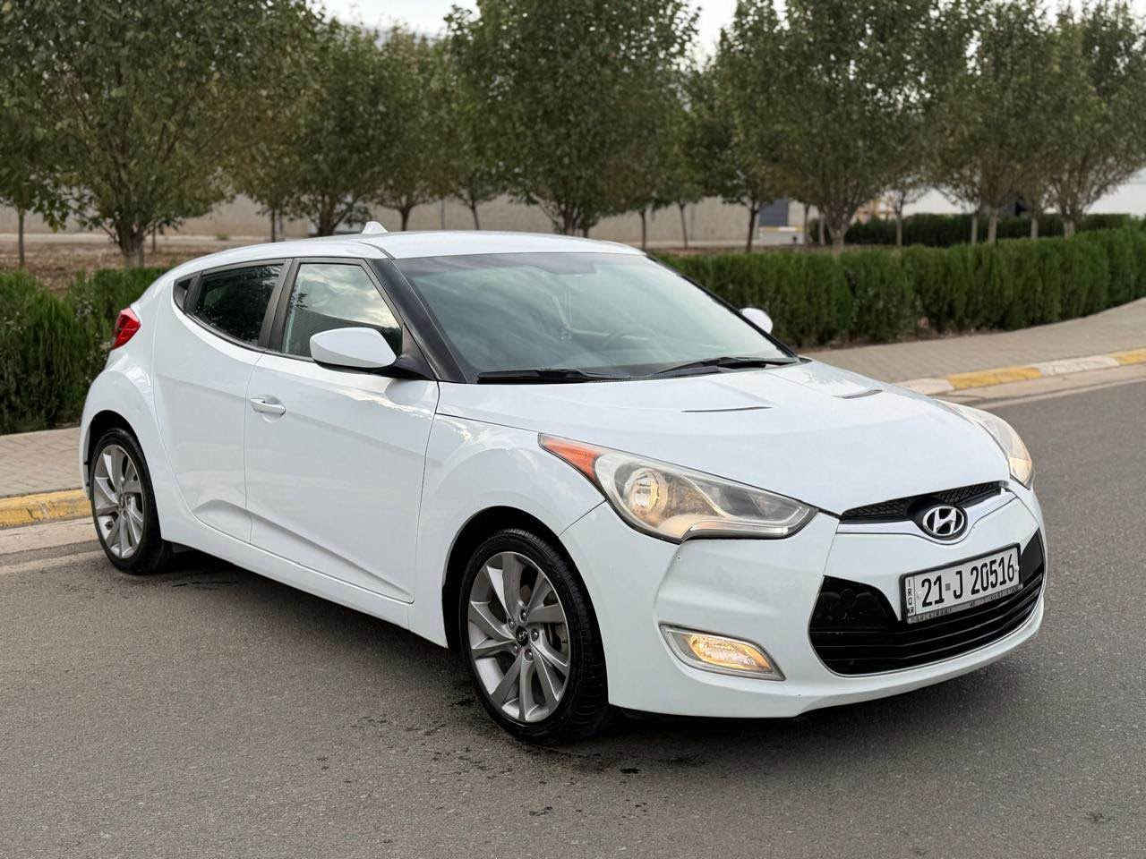 فيلوستر • ٢٠١٧ • بلا بويه