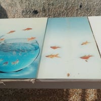 كدام العين • ميز • مواصفات فول
