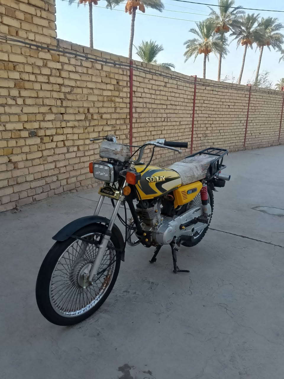 تايگر • ٢٠٢١ • مفتوح