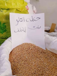 حنطة انتلو • مغلف • مكيسة