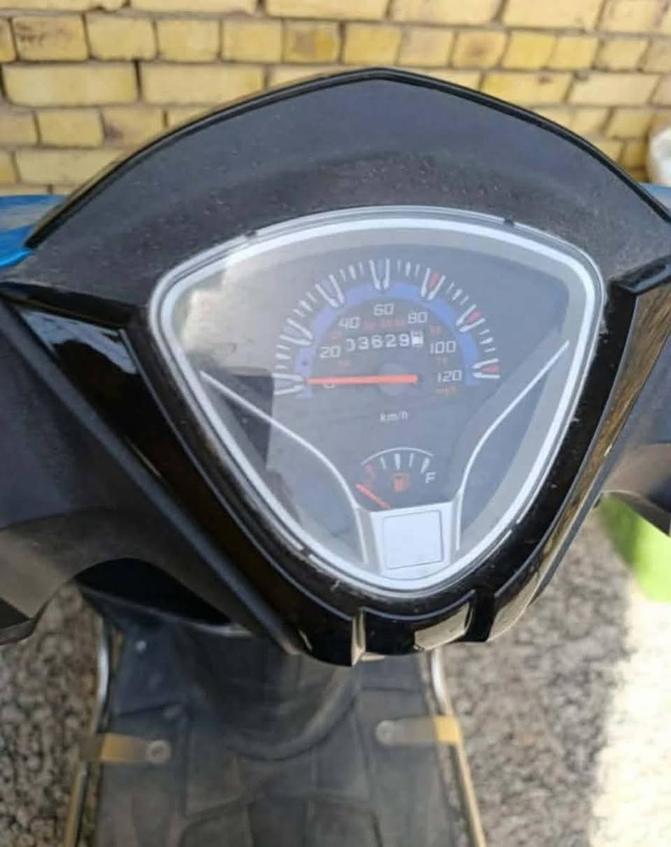 سكنس جامبو • ١٢٥ • ٢٠٢٤