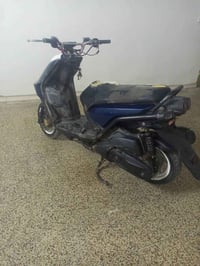 سكنس جبلي • حلوة • نوزل