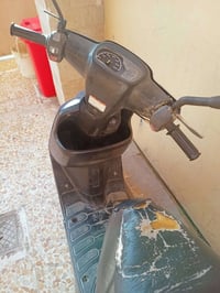 بوتين • مرقم • سنوية