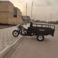 ستوته • ٢٠١٤ • وراق صولي