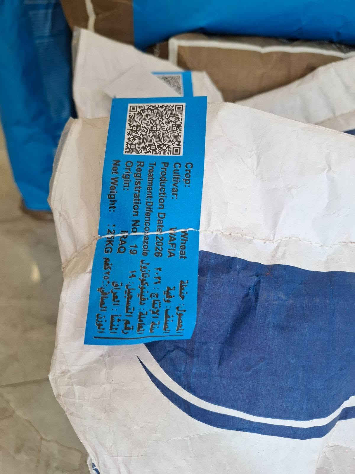 بذور حنطه • منشأ أوروبي • فحص وزارة الزراعة