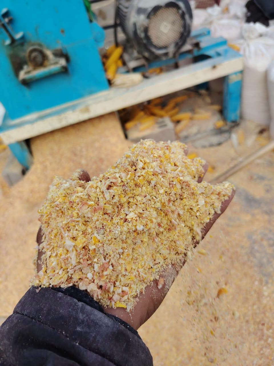 ذرة مجروش • درجة أولى • توصيل