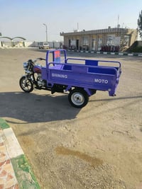 ستوته • زيرو • اوراق صولي