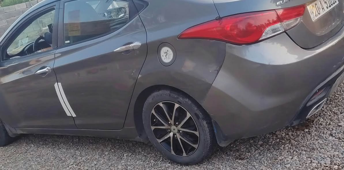 النترا • ٢٠١٣ • وارد امريكي