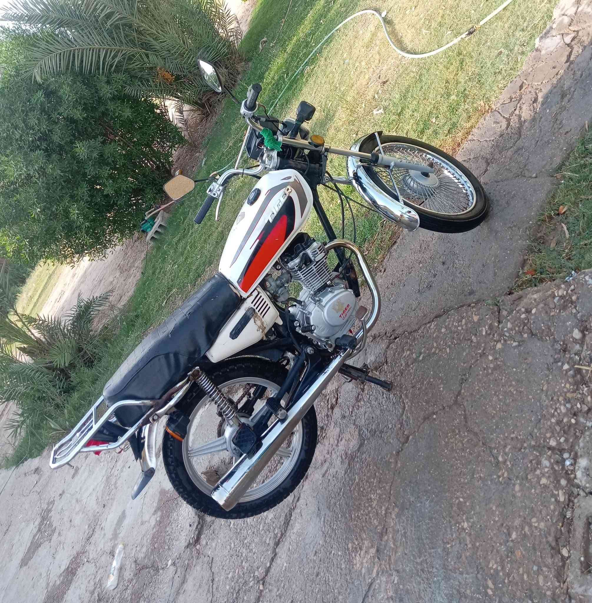 تايكر • ٢٠٢١ • وراق اصلية