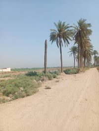 المهناوية • ٢ دونم • طابو زراعي سند ٢٥
