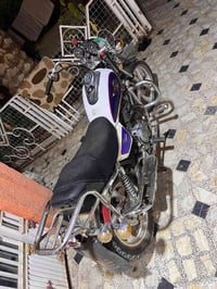 جيني • مكفول • اوراق كاملة