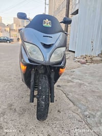 فورزا • ٢٠٠٨ • اوراق اصولي